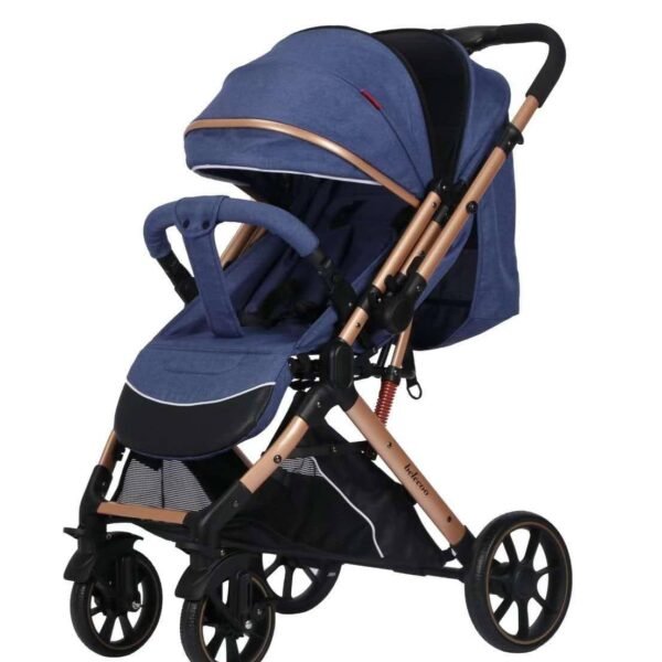 IMG_0026 استرولر belecoo