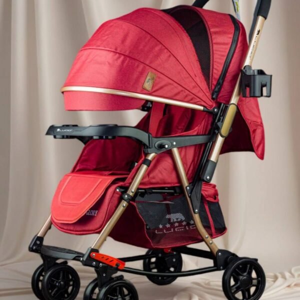 IMG_9807 استرولر جلوري  Lucid