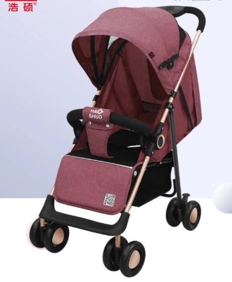 IMG_9871 استرولر هو شو